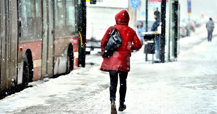 Snow Snow