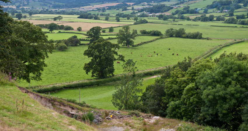 The Vale of Glamorgan Agricultural Show – 10th August 2022 The Vale of Glamorgan Agricultural Show – 10th August 2022