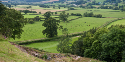 The Vale of Glamorgan Agricultural Show – 10th August 2022 The Vale of Glamorgan Agricultural Show – 10th August 2022